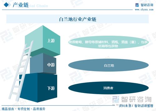 2023年中国白兰地行业全景速览 中高端市场被国外知名品牌占据